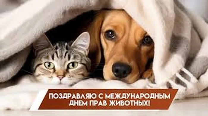 images (1)