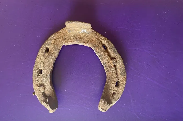 image-12-03-26-11-50-2