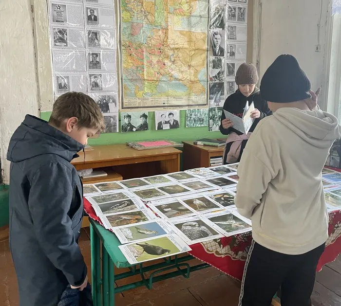 image-01-04-26-04-06-1