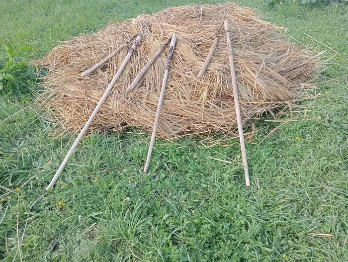 1000036347