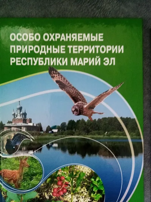 3IUBPbIQSWL8aDlE-zVEejDXwjcBRRjM2S5o-O2Yav_g6nlPeTjnOeHaIYs1DpK4IzyNxLMbzpRxUdSNYkjnG3Bi