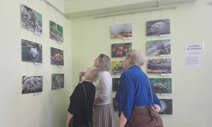 c-4RuspT1VuEMqxClq90Dy-s8g2sxM8HHIR68tL_arkA-0nDTfhEhYFuZd6uErxyx03gdNUr2i13tB4EIJfZnkyk