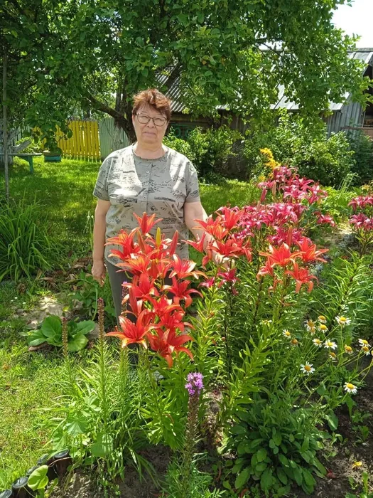 Селиванова С.Б.