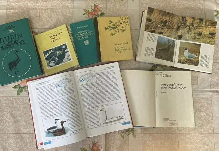 image-01-04-26-04-06-5