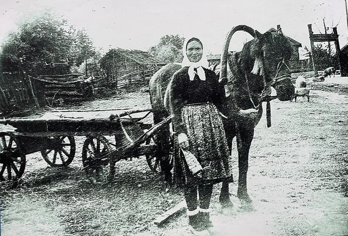 image-12-02-26-02-57-4