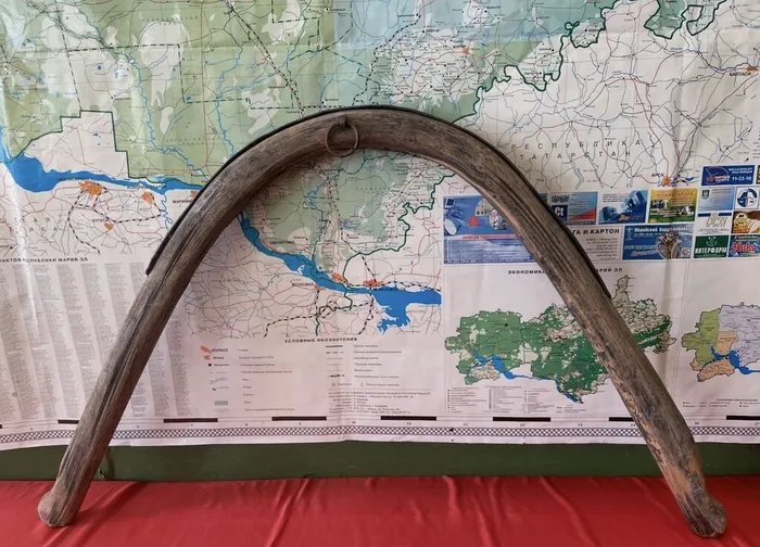 image-17-02-26-10-56-1