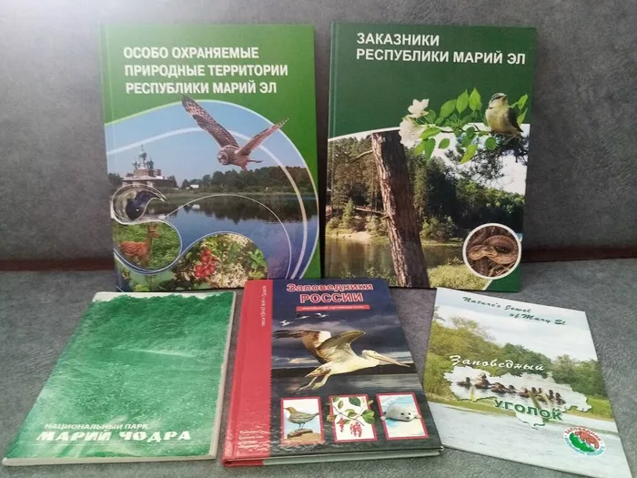 g9TiupnZMaAEzrmbPAtu4EVO36BJpAXRfIyErQI2AgI7AKzqOtxYsTh7-G8Nrq4g1bACvIil1HxIhF6LChcg9myi