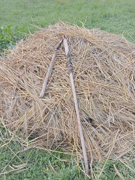 1000036357