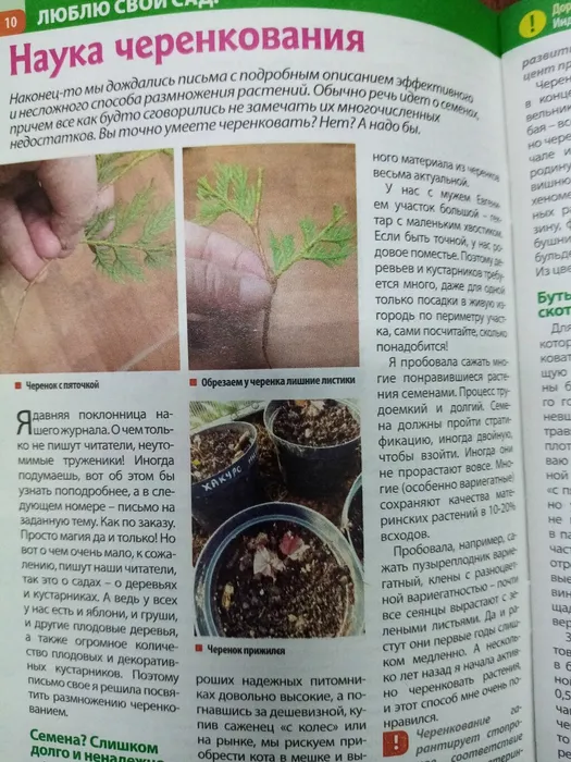 pAIpT7mVWwN9_A931muO1BijtHVSPiqekhbvOhhCREnurxnM-stfSTUyuq8bIYkuGKP7MELl0lWpBta8JaYlfy3V