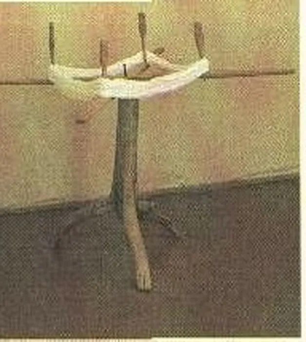 image-14-05-26-01-23-2