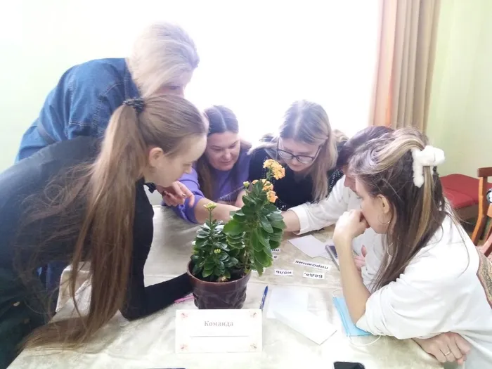 photo_2026-02-12_16-05-23