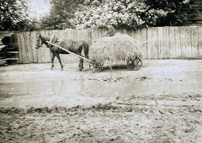 image-12-02-26-02-57