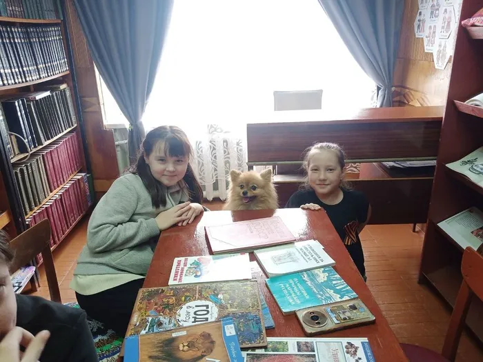 i93mvKD3TmjzDcX6KJvq-bnKIxfqbYIsNX7wlAJnVZtlq-Ur8yvDUUqZJ9sALLcCVRqCurhulpsDakhBJrNMwqes