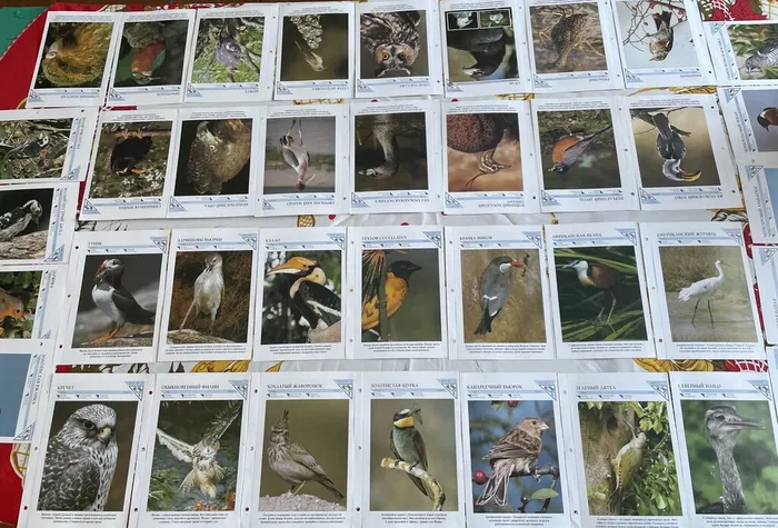 image-01-04-26-04-06-3